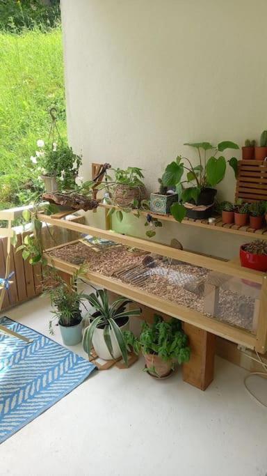 Apartament Le Doubs Cosy Besançon Zewnętrze zdjęcie