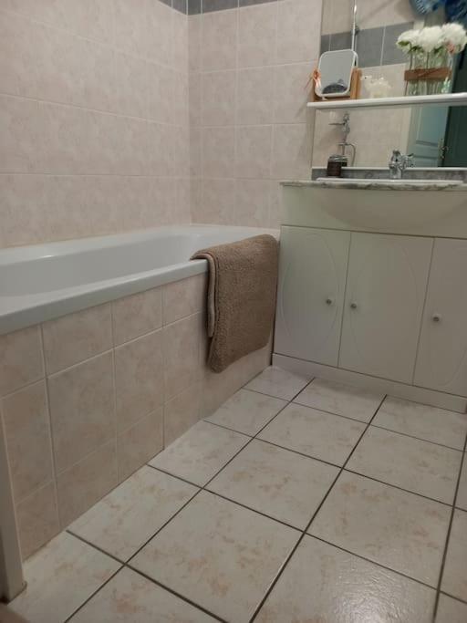 Apartament Le Doubs Cosy Besançon Zewnętrze zdjęcie